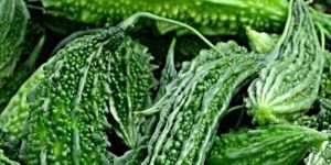 Fresh Bitter Gourd