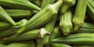 Fresh Okra