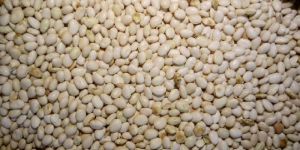 White Beans