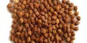 Kala Chana Dal