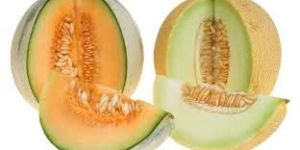 Natural Muskmelon