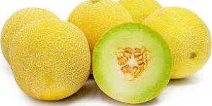 Sweet Muskmelon