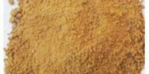 Asteracantha Longifolia Extract