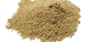 Holarrhena Antidysenterica Extract