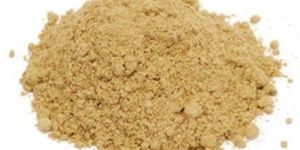 Momordica Charantia Extract