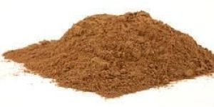 Morinda Citrifolia Extract