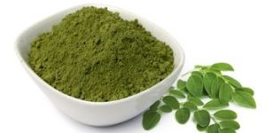 Moringa Oleifera Extract