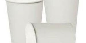 White Paper Cups