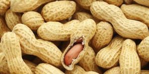 Raw Shelled Peanuts