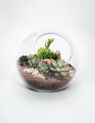 Borosilicate Glassware