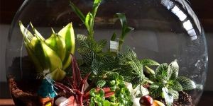 Borosilicate Glassware