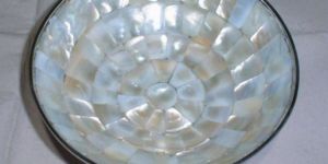 Shell Bowls