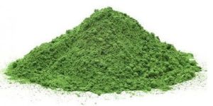 Moringa Leaves Powder