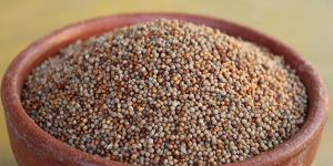 Pearl Millets