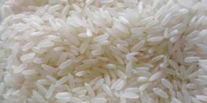Pure White Non Basmati Rice