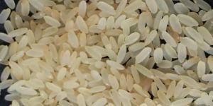 Sharbati Parboiled Non Basmati Rice