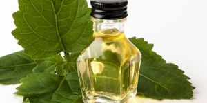 Patchouli Oil