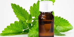 Spearmint Oil