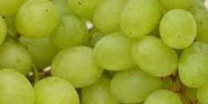 Sweet Green Grapes