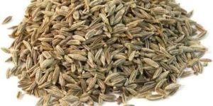 Premium Cumin Seeds
