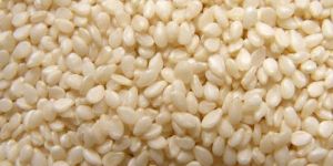 Premium Sesame Seeds