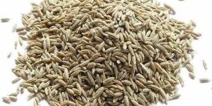 Pure Cumin Seeds