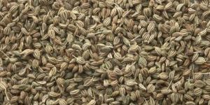Raw Ajwain Seeds