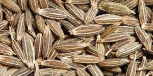 Raw Cumin Seeds