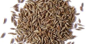 Whole Cumin Seeds