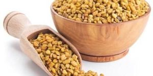 Whole Fenugreek Seeds