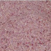 Dehydrated Red Onion Granules