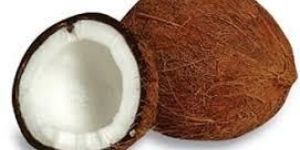 Fresh Mature Coconut