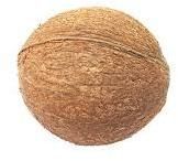 Fully Husked Coconut