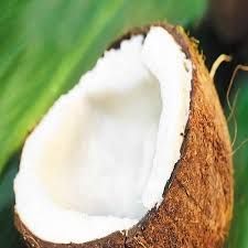 Organic Coconut