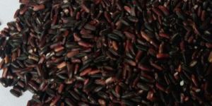 Natural Black Rice