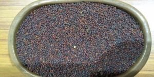 Organic Mustard Seeds