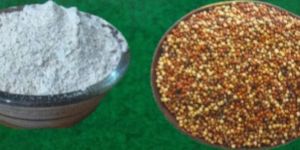 Organic Ragi seeds & Roasted Powder