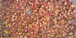 Sichuan Pepper