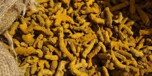 Assam Turmeric