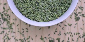 Natural Fennel Seeds