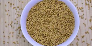 Natural Fenugreek Seeds