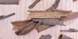 Organic Cinnamon Stick