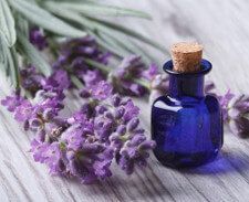 Lavender Essential Oil
