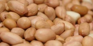 Peanut