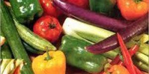 Fresh & Frozen Vegetables