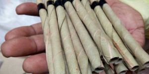 Watermelon Flavour Blunts Rolls