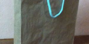 Brown Craft Paper Bag