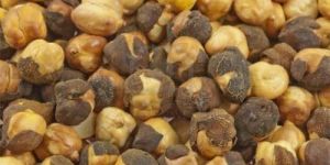 Yellow Roasted Chana