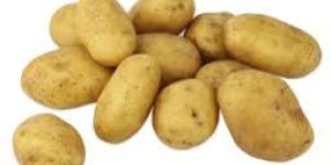Fresh Potatoes