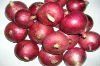 Red Onion